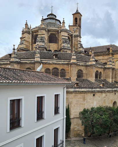 COWORKING GRANADA - CATEDRAL - Opiniones y contacto