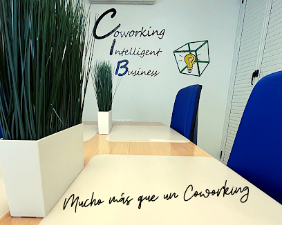 Coworking intelligent business (CIB) - Opiniones