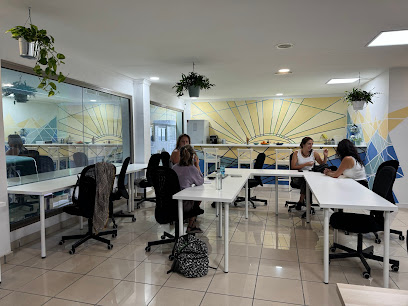 Mola-Mola Coworking - Opiniones