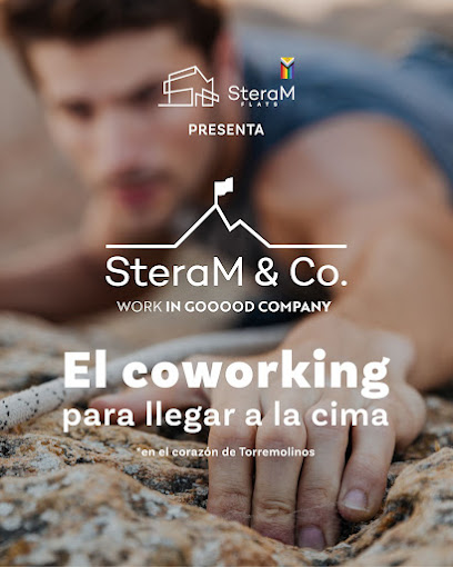 SteraM and Co - Opiniones